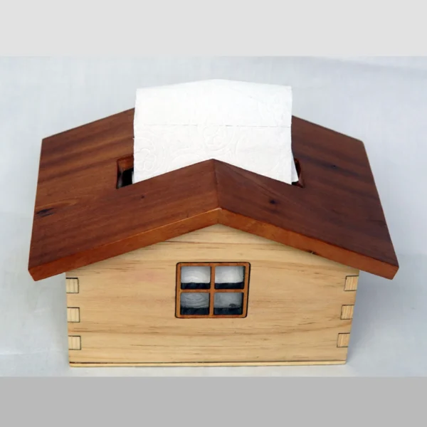 Tissue Box House