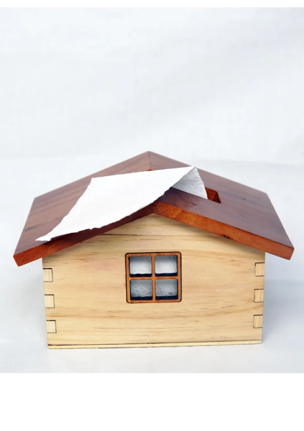 Tissue Box House - Image 2