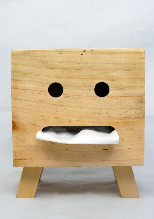 Tissue Box Normal Face - Image 3